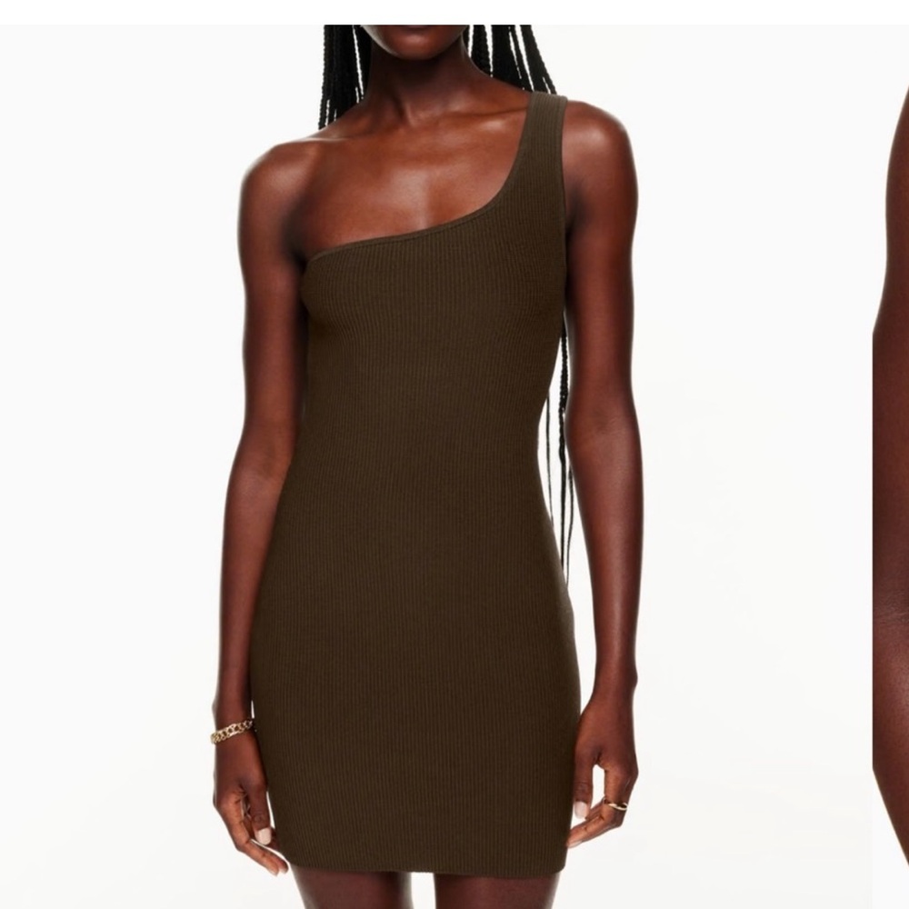 Aritzia Sculpt Knit Dress Brown